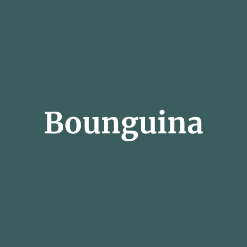 Logo Bounguina